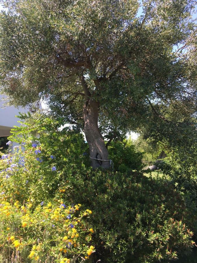 Villa Nel Blu Dipinto Di Blu à Polignano a Mare Extérieur photo